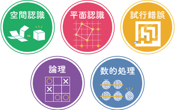 「空間認識」「平面認識」「試行錯誤」「論理」「数的処理」の5分野